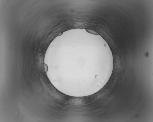 X0000115000276200912071147