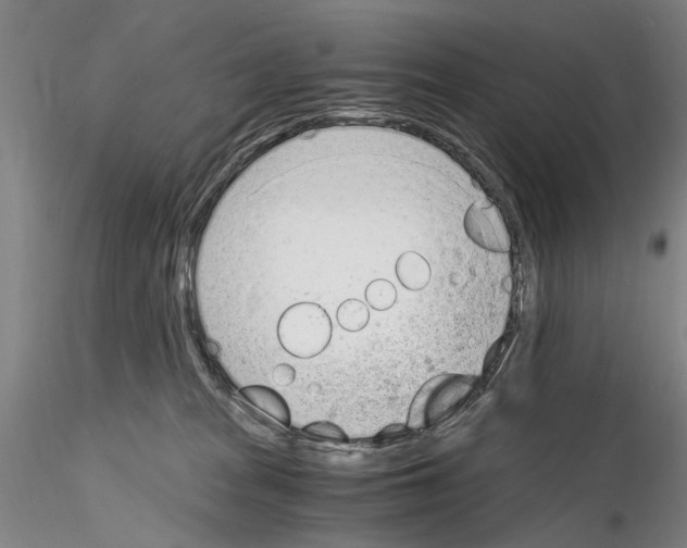 X0000115000277200912071147