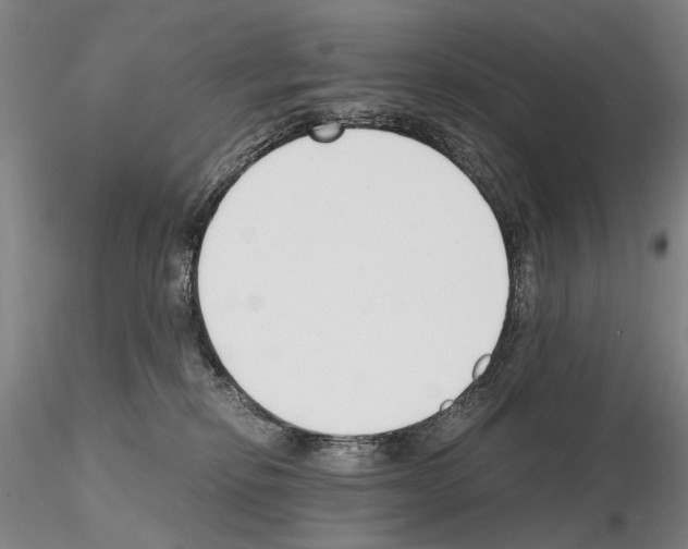 X0000115000278200912071147