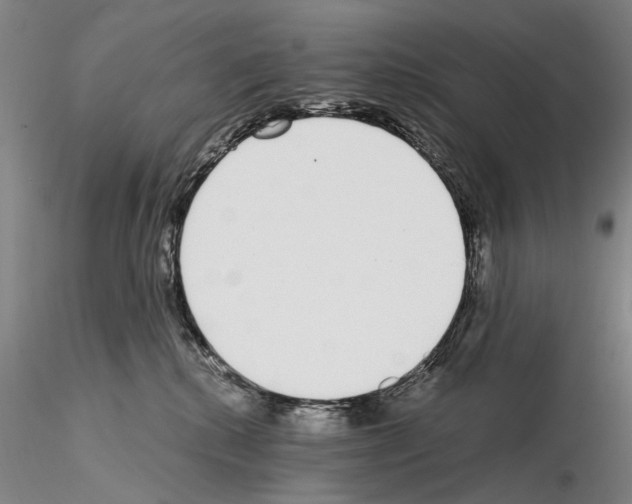 X0000115000280200912071147