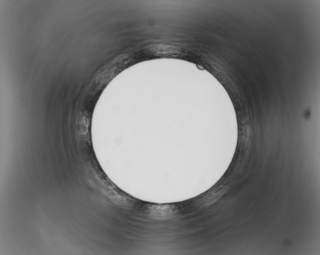 X0000115000281200912071147