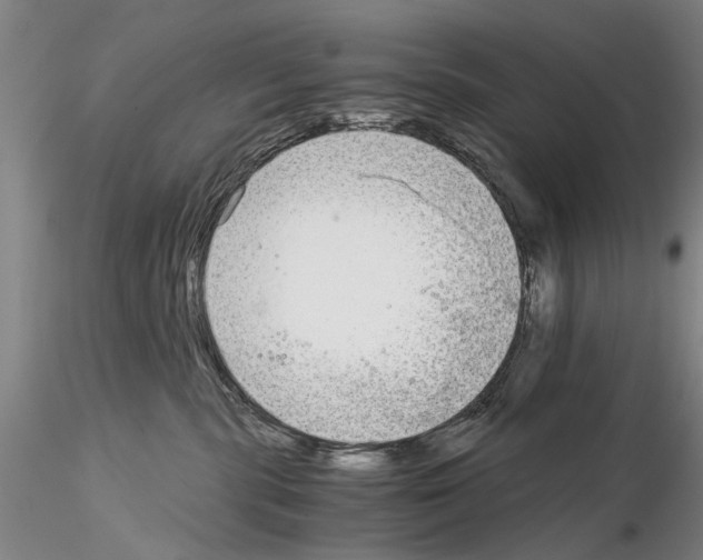 X0000115000283200912071147