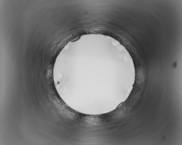 X0000115000284200912071147