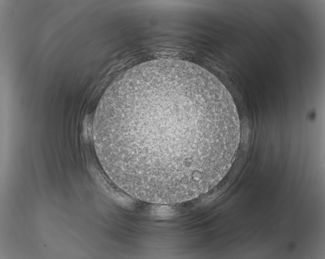 X0000115000287200912071147