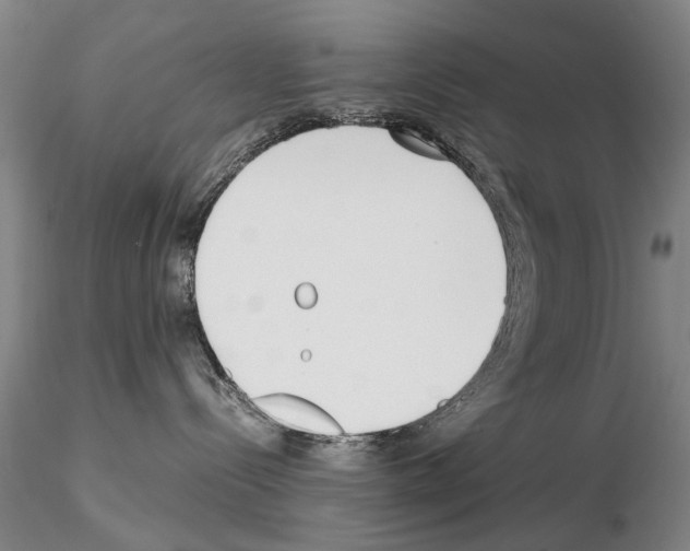 X0000115000288200912071147