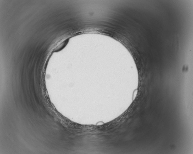 X0000115000289200912071147