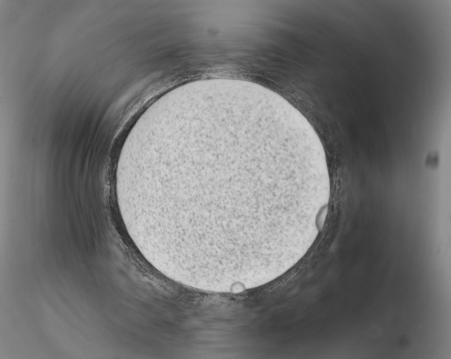 X0000115000290200912071147