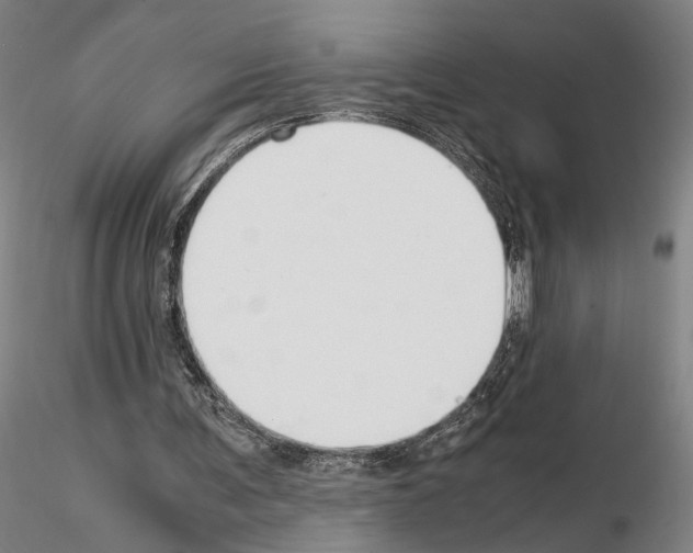 X0000115000291200912071147