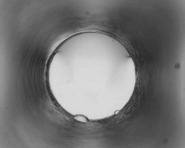 X0000115000292200912071147