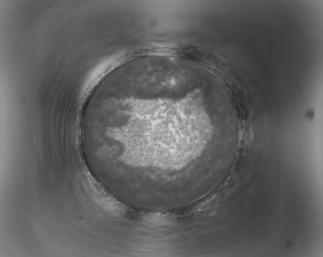 X0000115000293200912071146