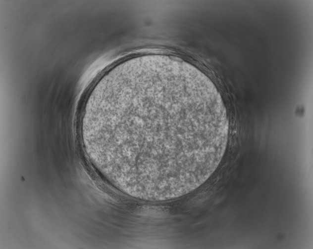 X0000115000296200912071146