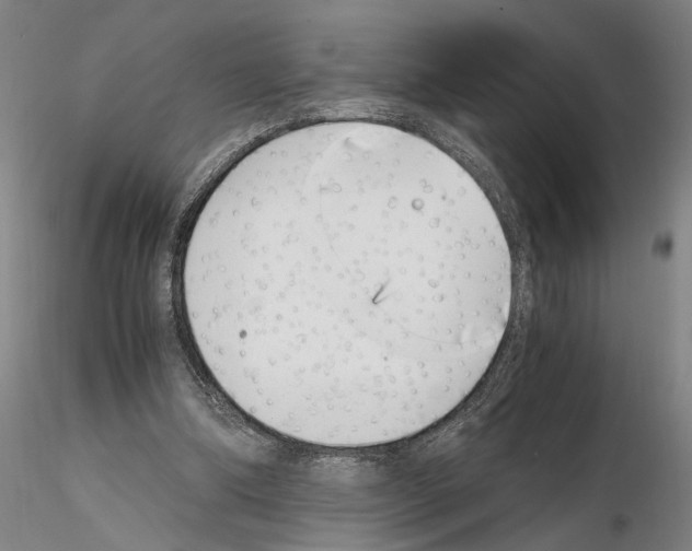 X0000115000298200912071146