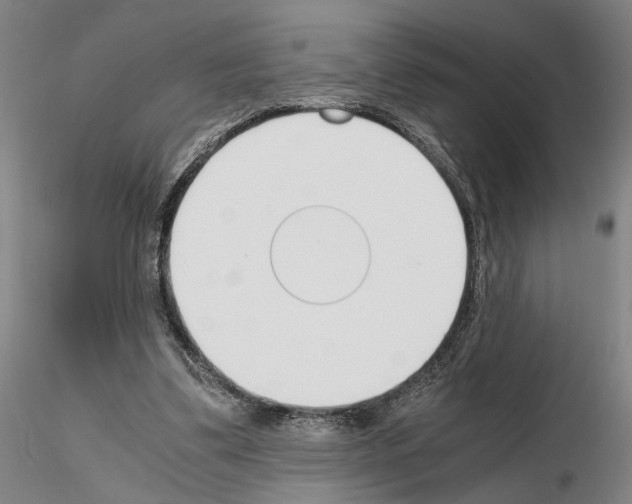 X0000115000299200912071146