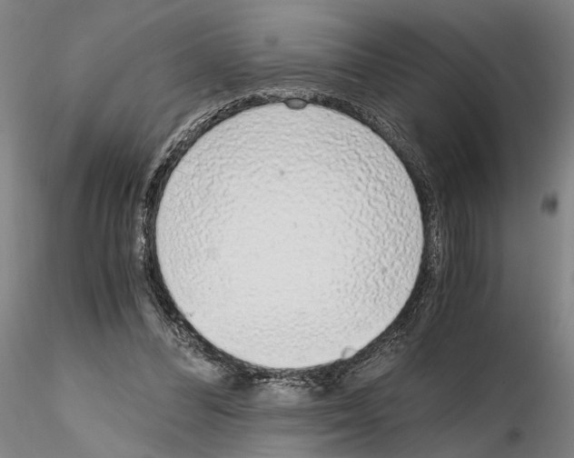 X0000115000300200912071146