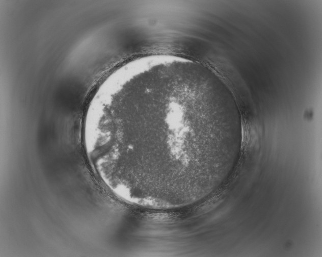 X0000115000301200912071146