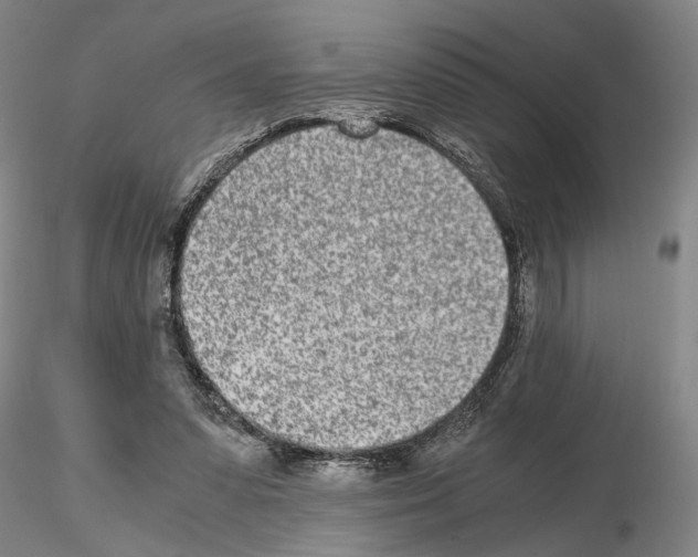 X0000115000303200912071146