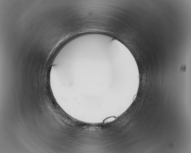 X0000115000304200912071146