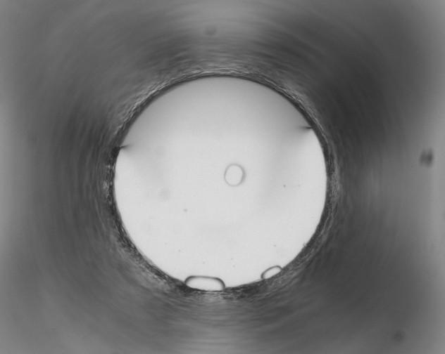 X0000115000305200912071146