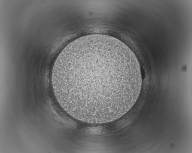 X0000115000306200912071146