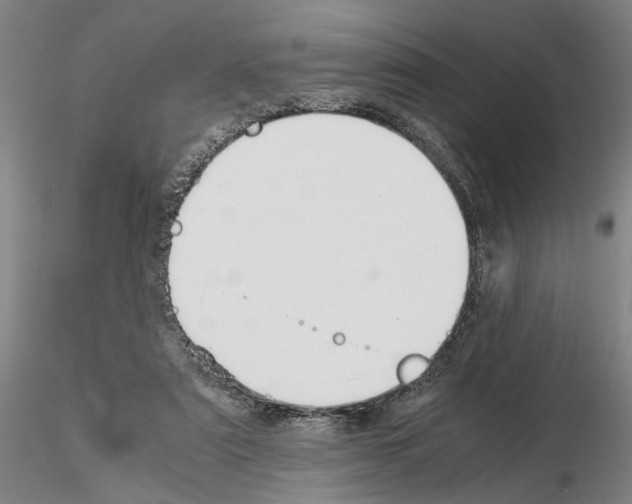 X0000115000307200912071146