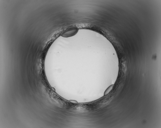 X0000115000308200912071146