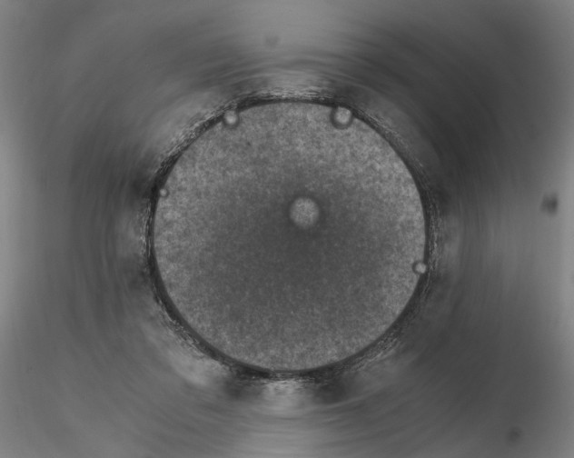 X0000115000309200912071146