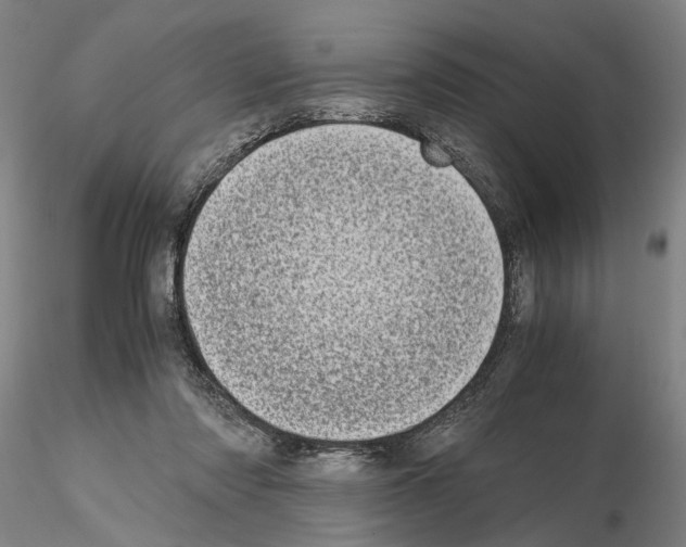 X0000115000310200912071146