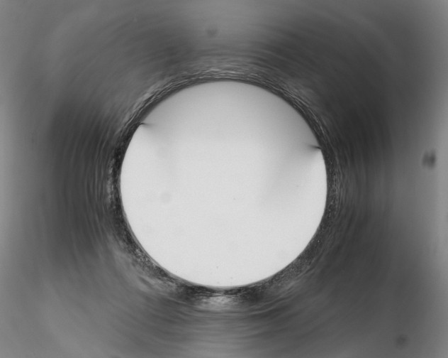 X0000115000312200912071146