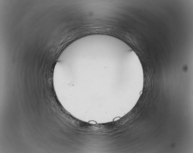 X0000115000317200912071146