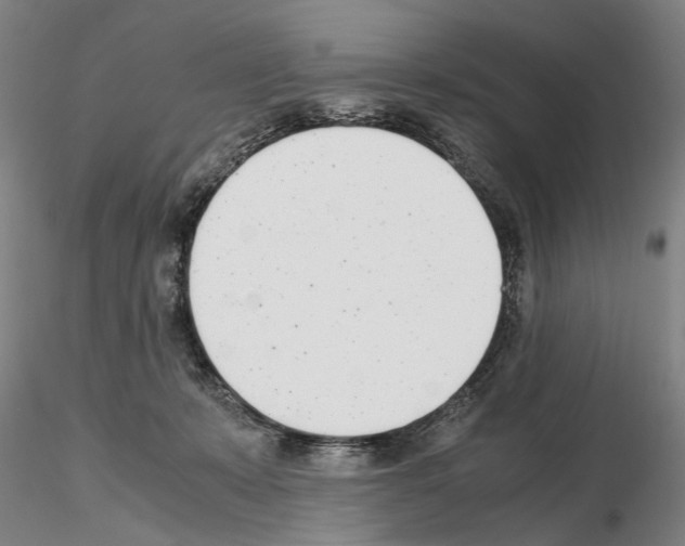 X0000115000319200912071146