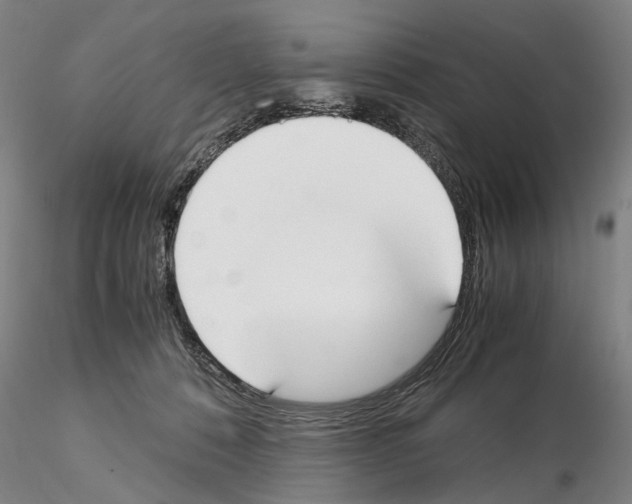 X0000115000320200912071146