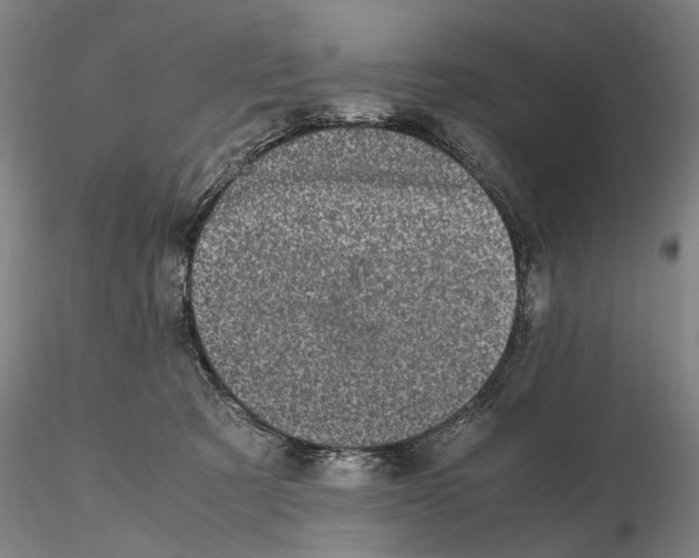 X0000115000321200912071146