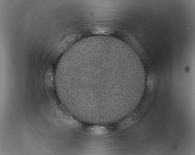 X0000115000322200912071146