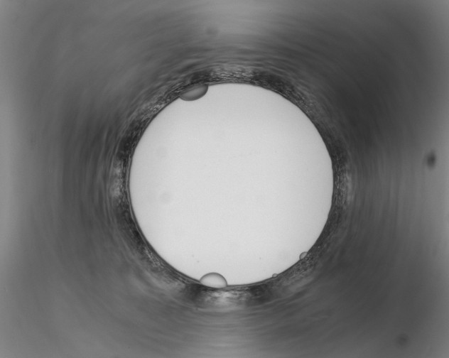 X0000115000323200912071146