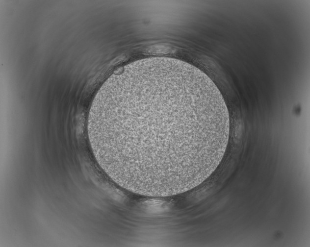 X0000115000326200912071146