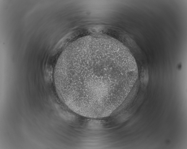 X0000115000332200912071146