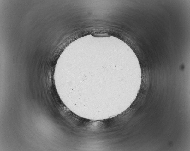 X0000115000333200912071146