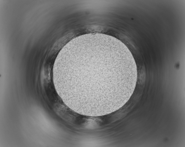 X0000115000334200912071146