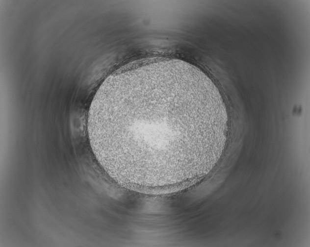 X0000115000336200912071146