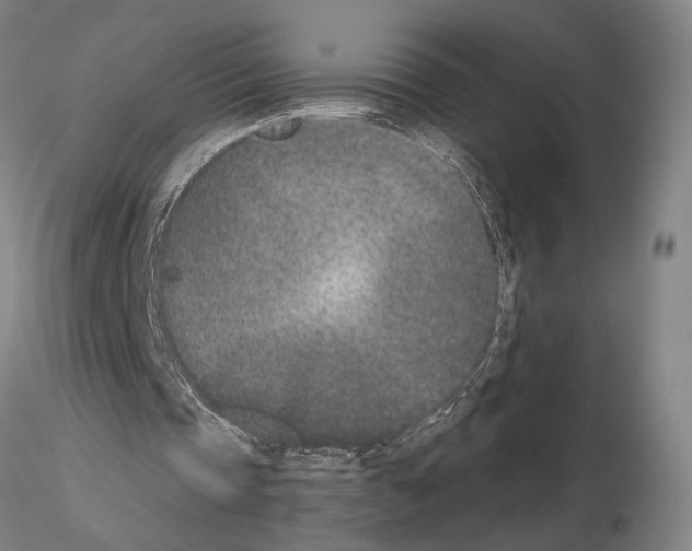 X0000115000337200912071145