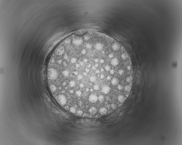 X0000115000338200912071145