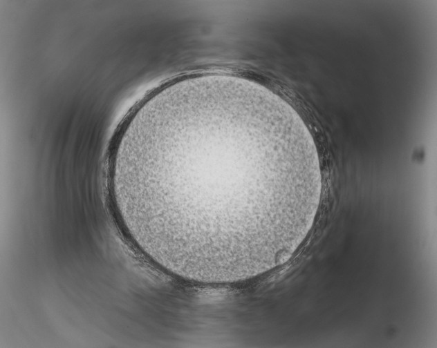 X0000115000342200912071145