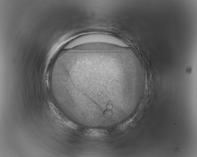 X0000115000343200912071145