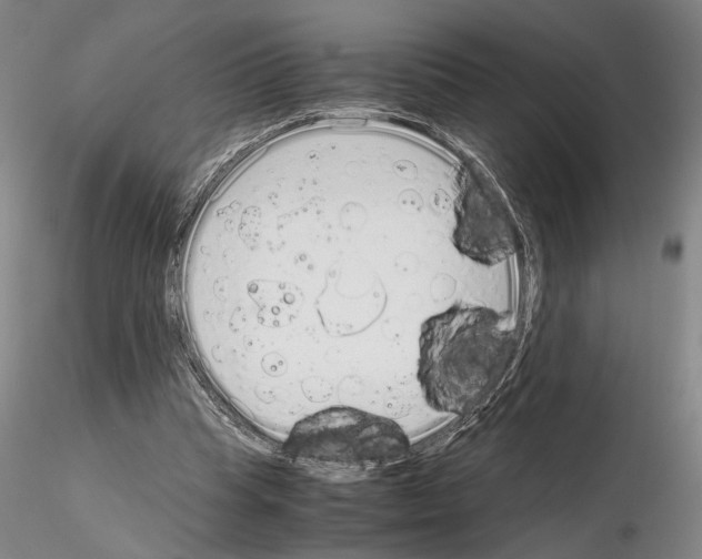 X0000115000345200912071145