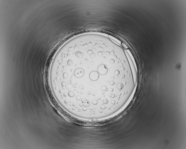 X0000115000346200912071145