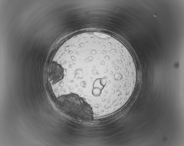 X0000115000349200912071145