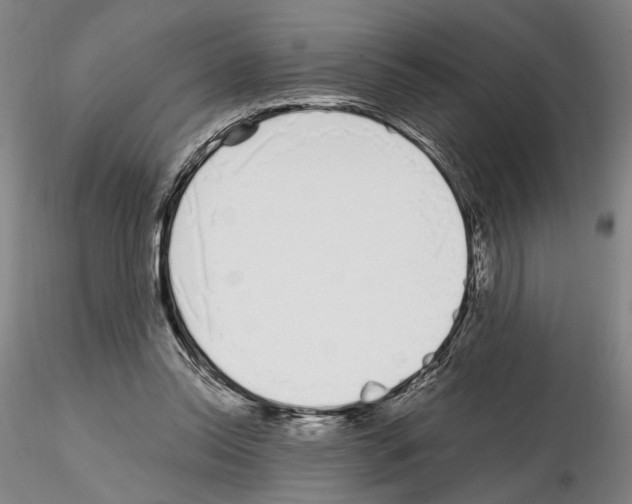 X0000115000350200912071145