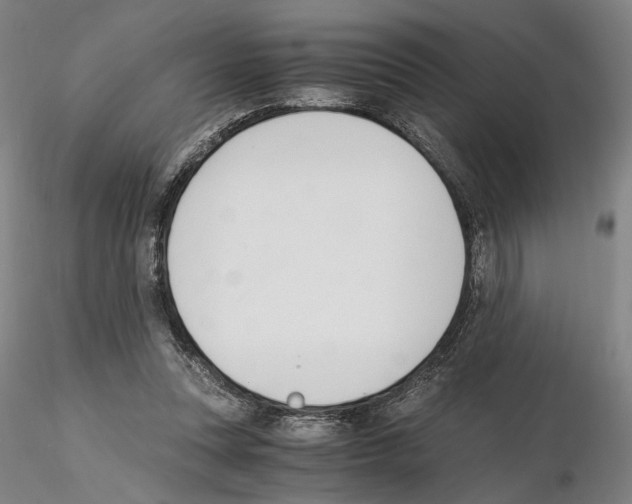 X0000115000351200912071145