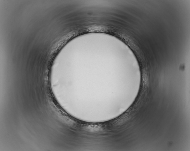 X0000115000353200912071145