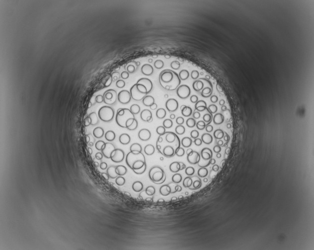 X0000115000354200912071145